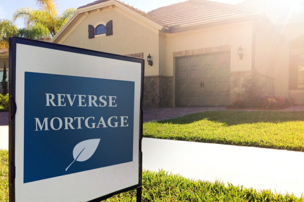 The Benefits of a Home Loan with a Low Points Option