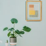 Unlock your Home’s Equity: Refinancing Basics to Help You Get Started
