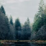 Understanding Personal Loans: What You Need to Know