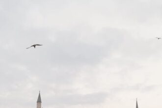 Navigating Home Loans: Tips for Finding the Right Financial Option