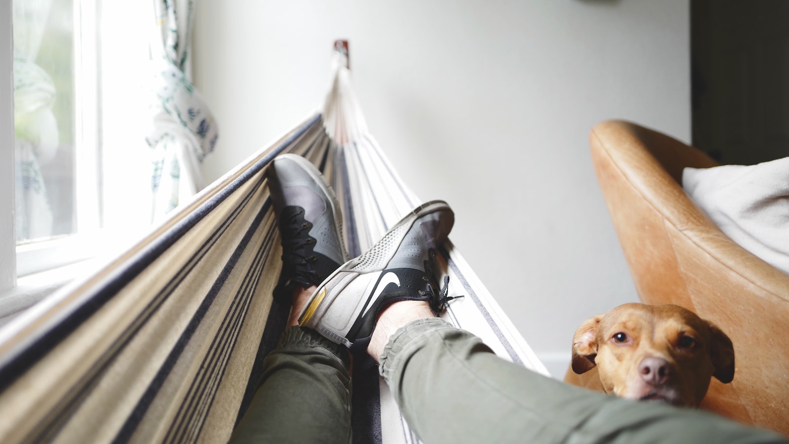 Navigating the Home Loan Process: What You Need to Know