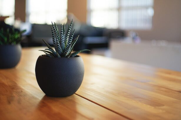 Tips to Help You Get Approved for a Home Loan