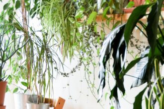 Secrets to Finding the Perfect Home Loan for Your Needs