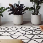 Harnessing the Power of Home Loans: Everything You Need to Know