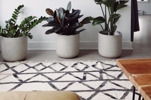 Harnessing the Power of Home Loans: Everything You Need to Know