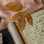 Harness the Power of Personal Loans to Take Your Finances to the Next Level