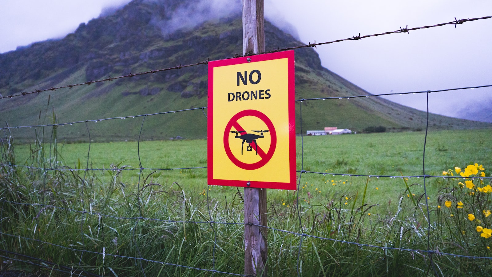 Taking out a Personal Loan: A Guide to Understanding the Basics