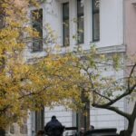 Securing an Auto Loan: Tips to Help You Score the Best Deal